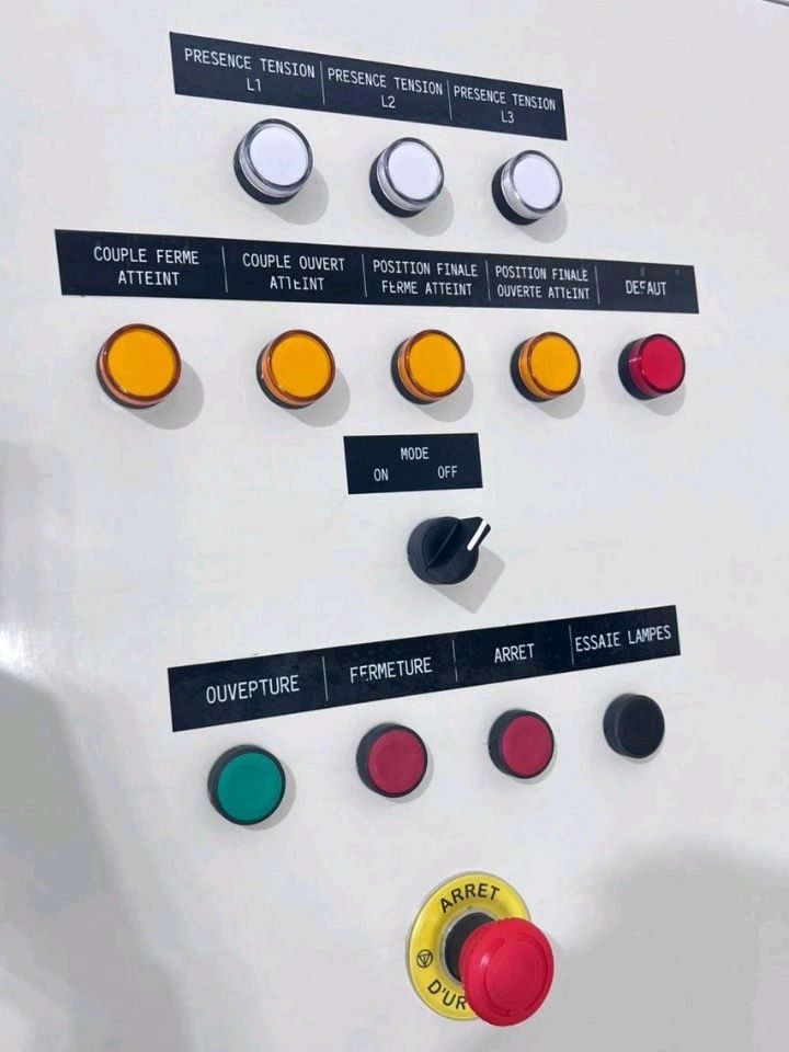 Façade d'un coffret de commande de vanne motorisée : voyants de position et arrêt d'urgence — Panel-Tronix